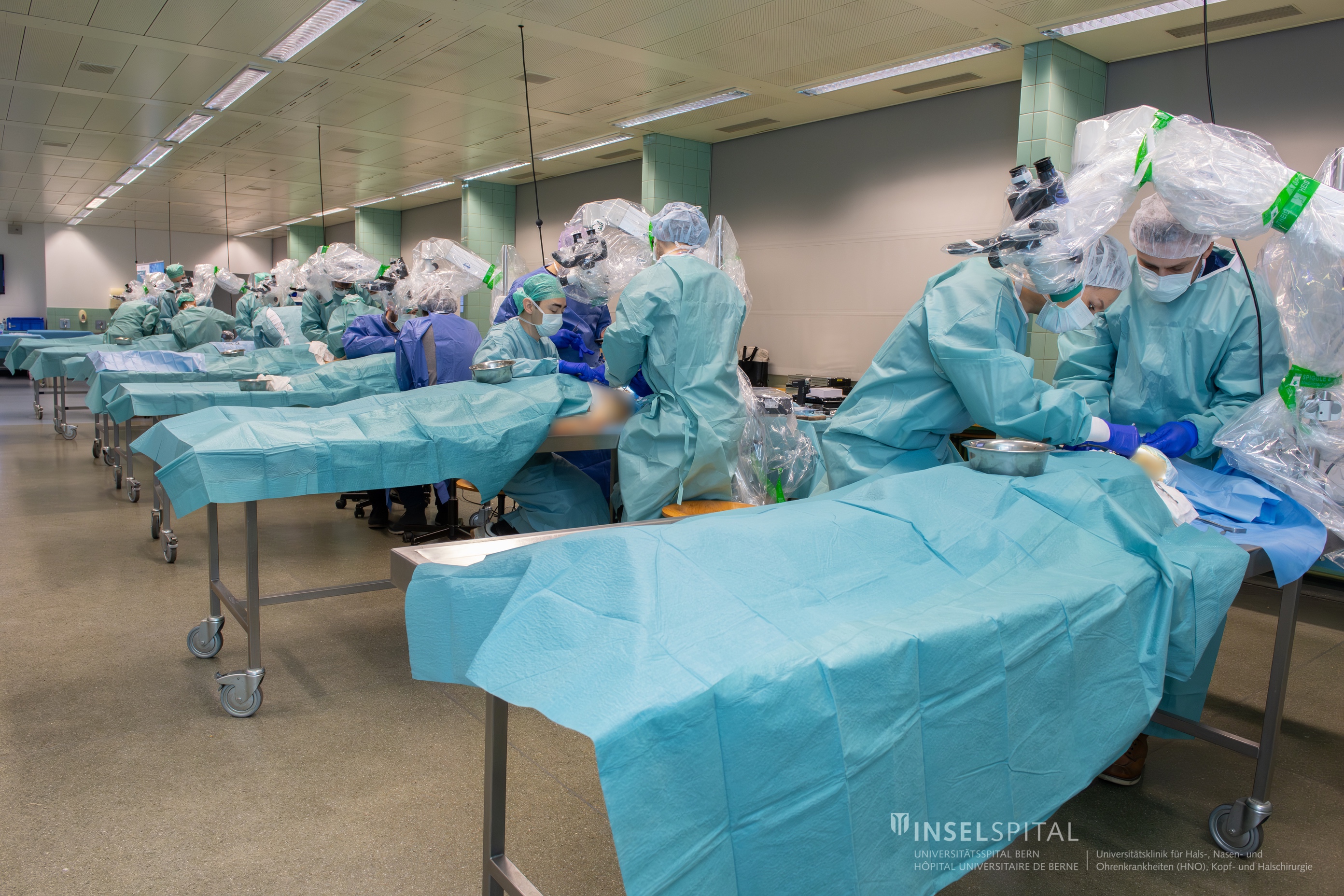 Head and Neck Course 2025 image 7470