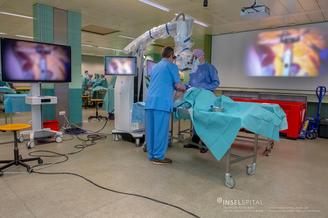 Head and Neck Course 2025